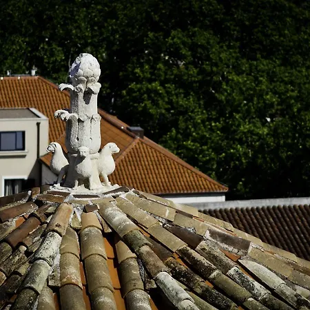 S Luxury * 스플리트